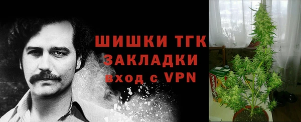 гидра Арсеньев