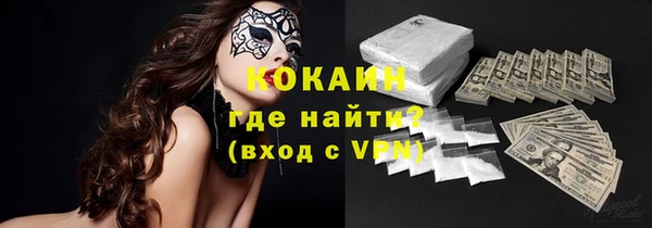 стаф Аркадак