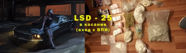 стаф Аркадак