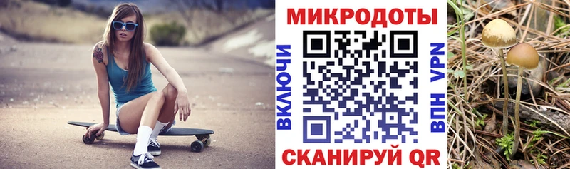 Псилоцибиновые грибы GOLDEN TEACHER Купить закладки Суоярви