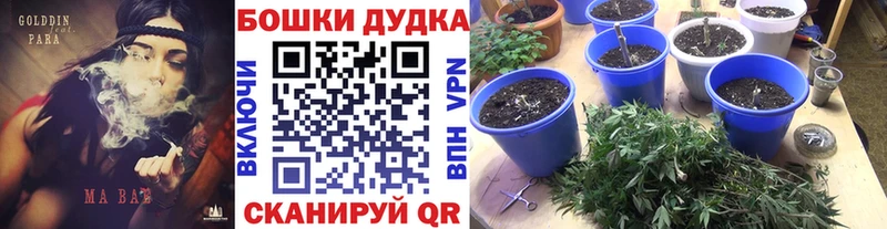 МАРИХУАНА Amnesia Купить где Суоярви